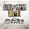 【STEAM】信長の野望･新生 with パワーアップキット（PK）のレビュー